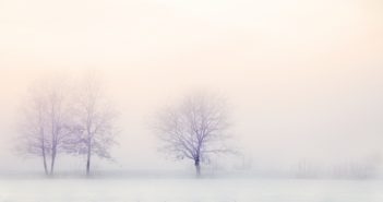 Differenza tra Sensibilità Chimica Multipla e Intolleranza Ambientale Idiopatica (definizione che piace all’industria)