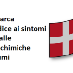 danish flag