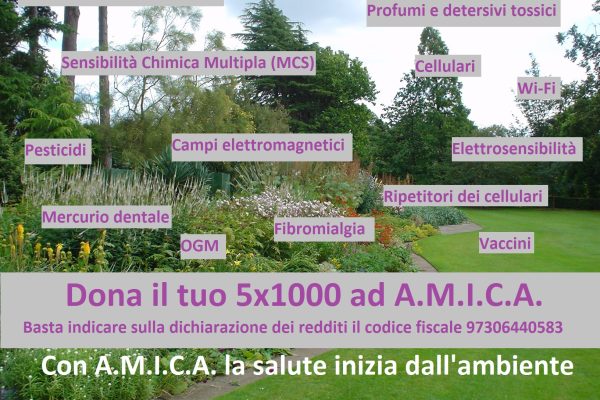 5x1000 ad AMICA