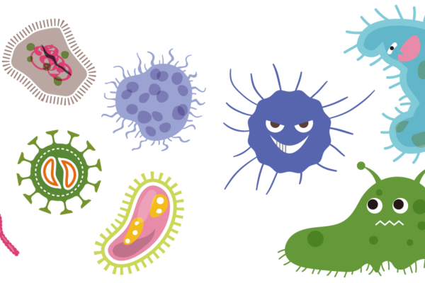 bacterias-gcff2f0a28_1920