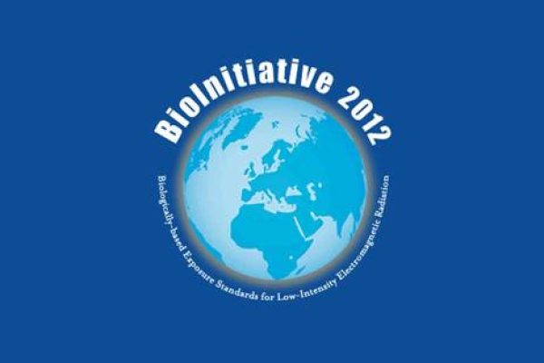 bioinitiative_2012