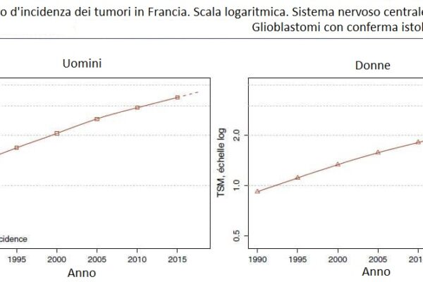 figura 2