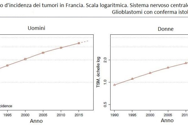 figura 2