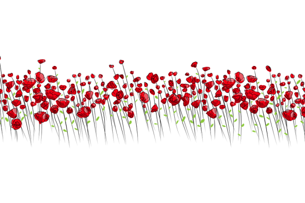 flowers-2755297_1280