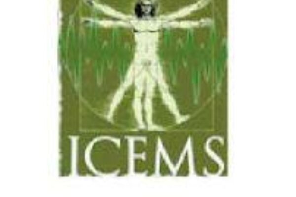 icems logo