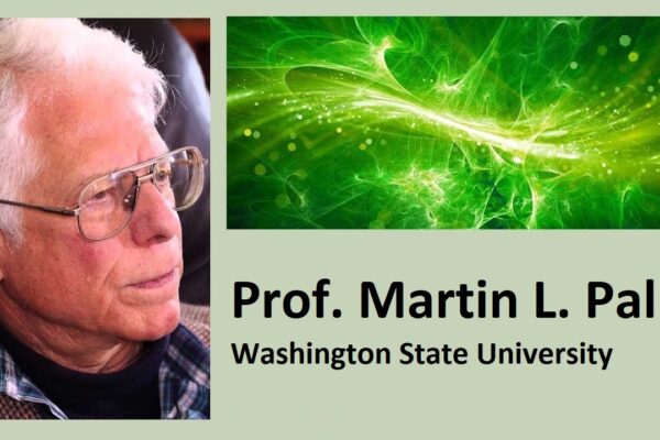 martin pall