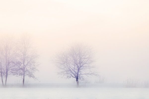 winter-landscape